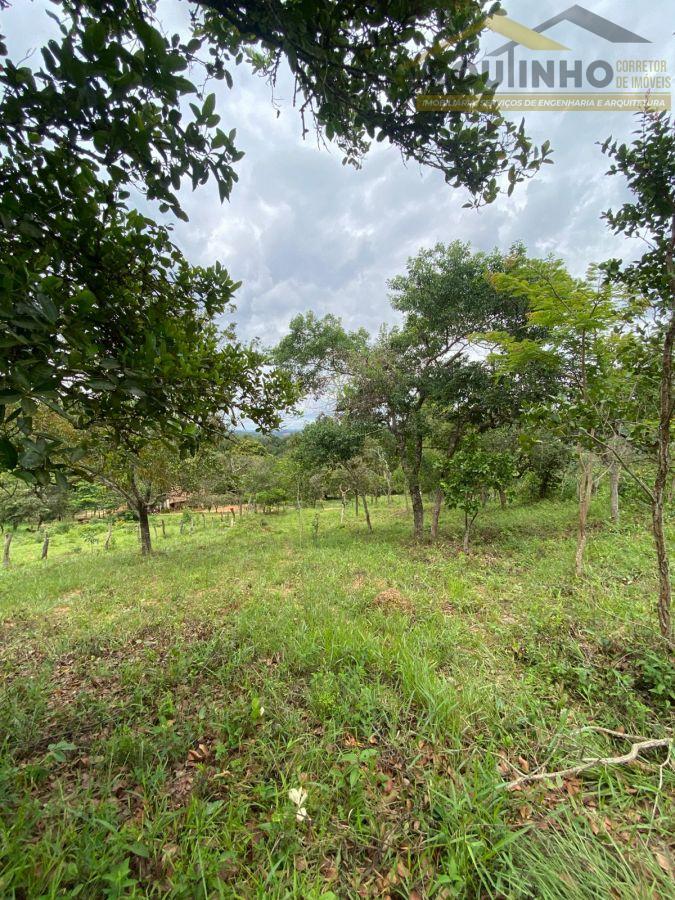 WhatsApp Image 2026-01-29 at 20.11.48 (1).jpeg